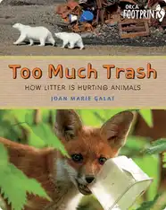 Too Much Trash
