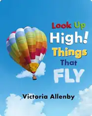 Look Up High! Things That Fly