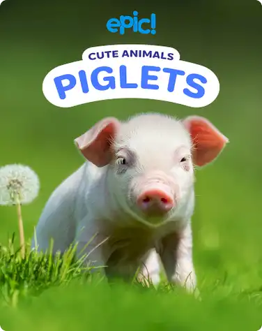 Cute Animals: Piglets book
