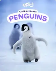 Cute Animals: Penguins