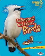 Endangered and Extinct: Birds