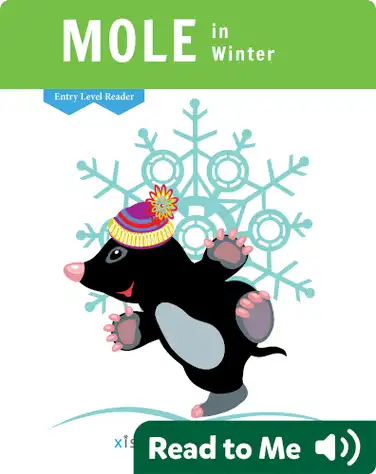 Mole in Winter book