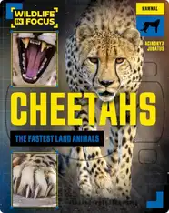 Cheetahs: The Fastest Land Animals