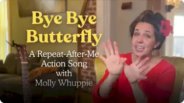 Bye Bye Butterfly book