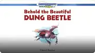 Behold the Beautiful Dung Beetle