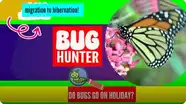 Do Bugs Go On Holiday?