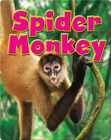 Spider Monkey book