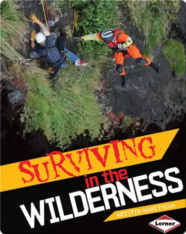 Surviving in the Wilderness book