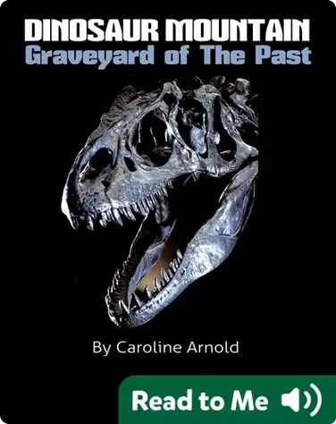 Dinosaur Mountain: Graveyard Of The Past book