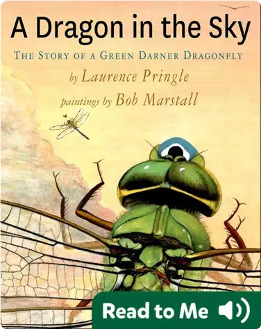 A Dragon in the Sky: The Story of a Green Darner Dragonfly book