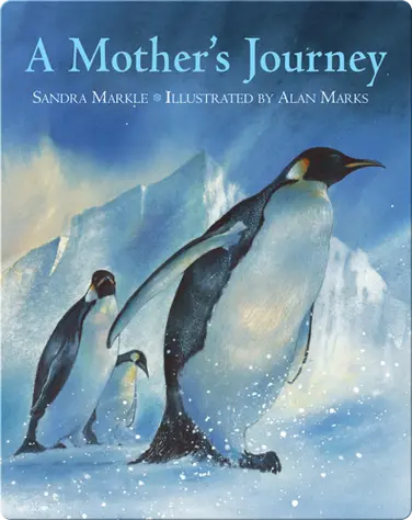 A Mother's Journey book