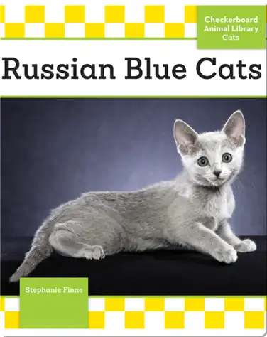 Russian Blue Cats book