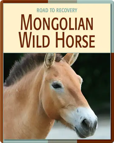 Road To Recovery: Mongolian Wild Horse book