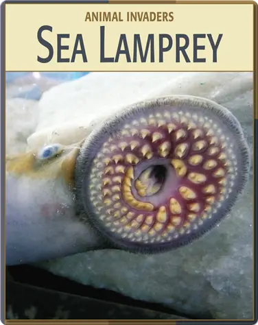 Animal Invaders: Sea Lamprey book