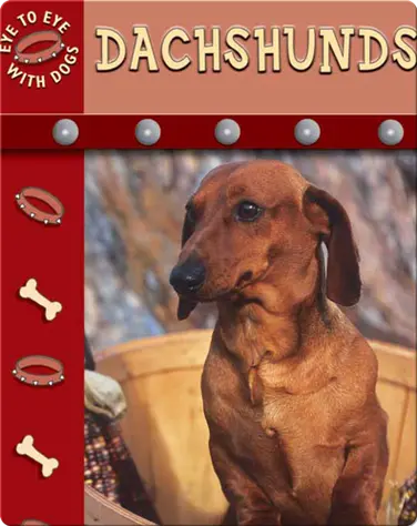 Eye To Eye With Dogs: Dachshunds book