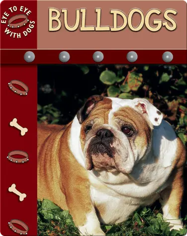 Eye To Eye With Dogs: Bulldogs book