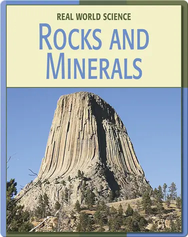 Real World Science: Rocks And Minerals book