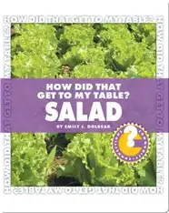 How Did That Get To My Table? Salad