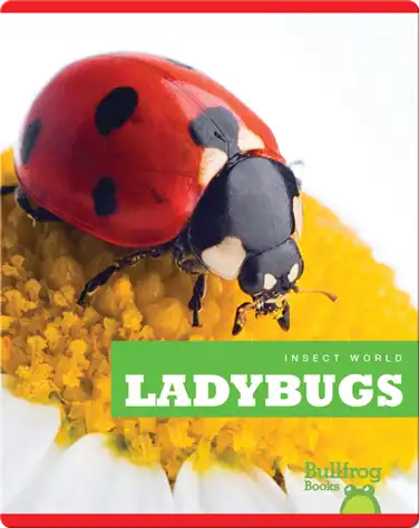 Insect World: Ladybugs book