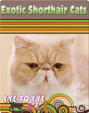 Eye To Eye With Cats: Exotic Shorthair Cats book
