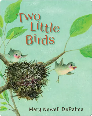 Two Little Birds book