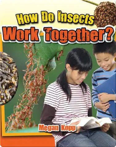 How Do Insects Work Together? book