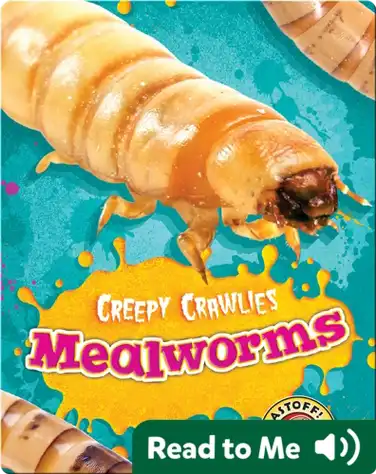 Creepy Crawlies: Mealworms book