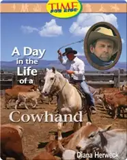 A Day in the Life of a Cowhand