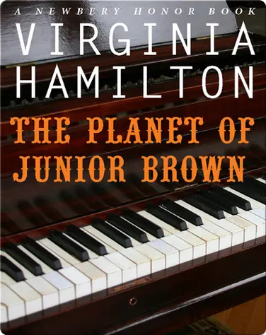 The Planet of Junior Brown book