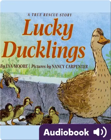 Lucky Ducklings book
