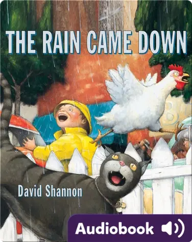 The Rain Came Down book