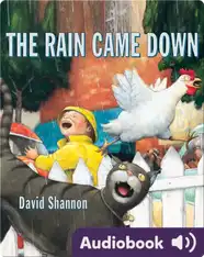 The Rain Came Down