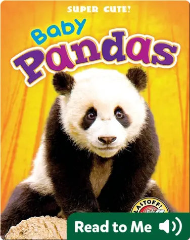 Super Cute! Baby Pandas book