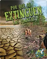 Por qué se extinguen las plantas