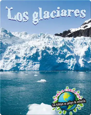 Los glaciares / Glaciers book