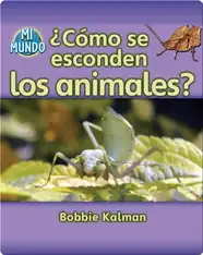 ¿Cómo se esconden los animales?