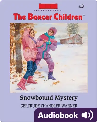 Snowbound Mystery book