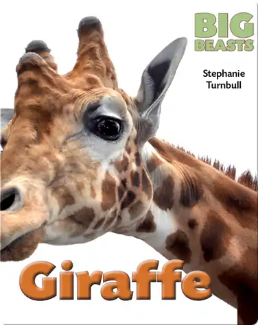 Giraffe book