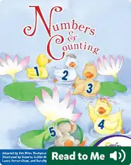 The Numbers and Counting Collection