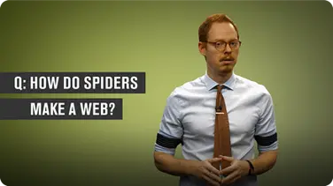 How Do Spiders Make a Web? book
