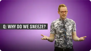 Why Do We Sneeze? book
