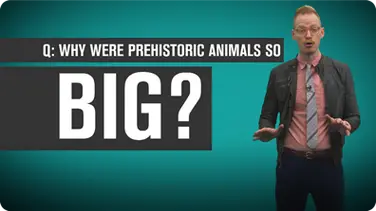 Why Were Prehistoric Animals So Big? book