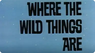Where The Wild Things Are book