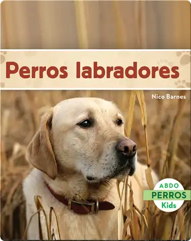 Perros labradores book