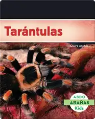 Tarántulas
