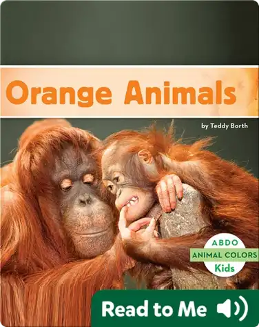 Orange Animals book