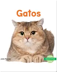 Gatos