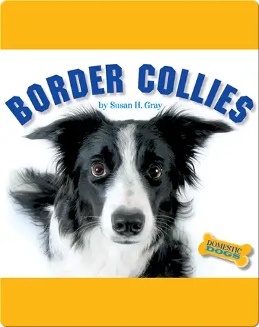 Border Collies book