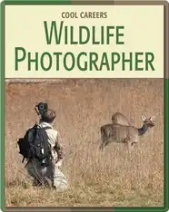 Wildlife Photographer