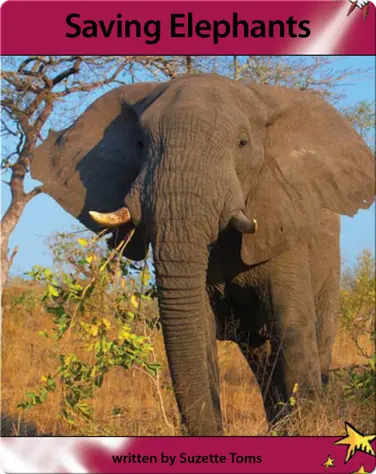 Saving Elephants book